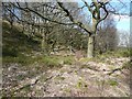 Public footpath in Broadhead Clough, Mytholmroyd in HX7 5TB