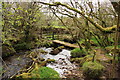 Footbridge over Willsworthy Brook in PL19 9NB