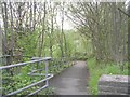 Footpath - Huddersfield Road in WF13 3QL