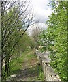 Footpath alongside River Calder - Wilton Street in WF12 9LN