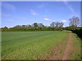 Footpath from Stratford to Snitterfield in CV37 0QX