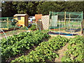 Wickham Allotment in PO17 5QL