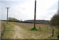 Footpath junction near Bushey Wood in ME20 7TF