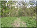 Footpath leading into Hawksworth Wood - Cragside Walk in LS18 5DA