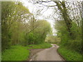 Goodcheap Lane through woods in TN25 5NS