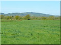 Looking towards May Hill from Oakle Street in Churcham