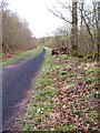 Old railway track, Demesne Wood in CA17 4HG