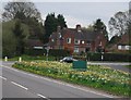 Daffodils, corner of The A26 and Eridge Rd in TN6 2SA