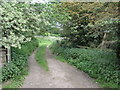 Footpath To Blaxton Common in DN9 3AS