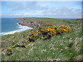 View from the Pembrokeshire Coast Path in Marloes and St. Brides Community