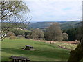 Ty'n Llwyn Picnic Area in LL27 0JA
