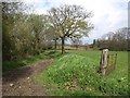 Bridleway near Duck's Field Crossing in TA18 8PH