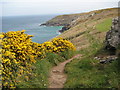 Coast path above Brea Cove in TR26 3BJ