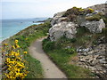Coastal footpath west of St Ives in TR26 2HG