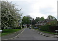 Hallview Grove Darlington in Cockerton Ward