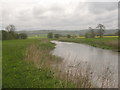 River Great Stour - flowing towards Wye in TN25 4DX