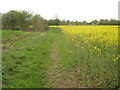 Footpath towards Orchard Lane, Ashford in TN25 4DX