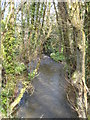 Small tributary of the Camel at Nanstallon in PL30 5LL