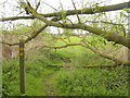 Footpath junction near railway and Great Stour River in TN25 4DX