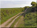 Cycleway and Footpath Towards Tandle Hill in OL2 5UN