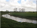 River Great Stour - flowing towards Wye in TN25 5PA