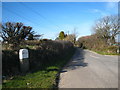 The road to Withiel in PL26 8LH