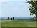 2010 : Golf on Arn Hill Down in BA12 8PR