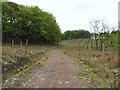Forest Track to Creecyhill Wood in G65 9TS