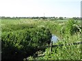 Semington Brook from Pantry Bridge in BA14 6NQ