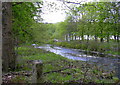 River Irwell at Chatterton, Lancashire in Stubbins