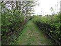 Footpath away from Dullingham in CB8 9XL