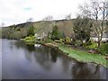 River Teith, Callander in FK17 8BN