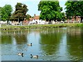 Bishop Burton across the Village Pond in HU17 8QP