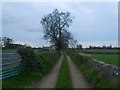 Track outside Masham in HG4 4ES