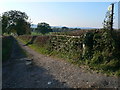 Footpath and track to Llanynys in LL15 1UF