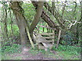 Natural arch over footbridge SE of Burnt House Farm in TN21 0PA