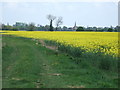 A view from Eaudyke Bank, Tydd St Giles in PE13 5RG