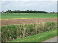Across the fields from Roper's Lane in PE12 0EW