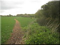 Footpath towards Elm Tree Farm in TN25 5PW