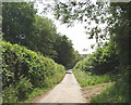 Lane to Lily Bottom, near Hampden in HP27 0PG