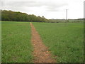 Footpath to Foreland Wood in TN25 5NE