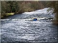 River Tay, Grandtully in PH15 2QY