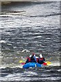 Rafting on the River Tay in PH15 2QY