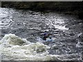 Canoeing on the River Tay in PH15 2QY