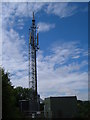 Transmission mast at Harbertonford in TQ9 7HY