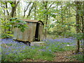 Charborough Park, shepherd's cabin in BH20 7EN