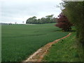 Charborough Park, arable land in BH20 7EN