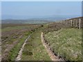 On Bodandere Hill in Kirriemuir and Dean Ward