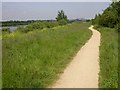 Footpath near the Grand Union Canal in NN4 8JU
