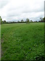 Footpath across Great Meadow in BR6 7LE